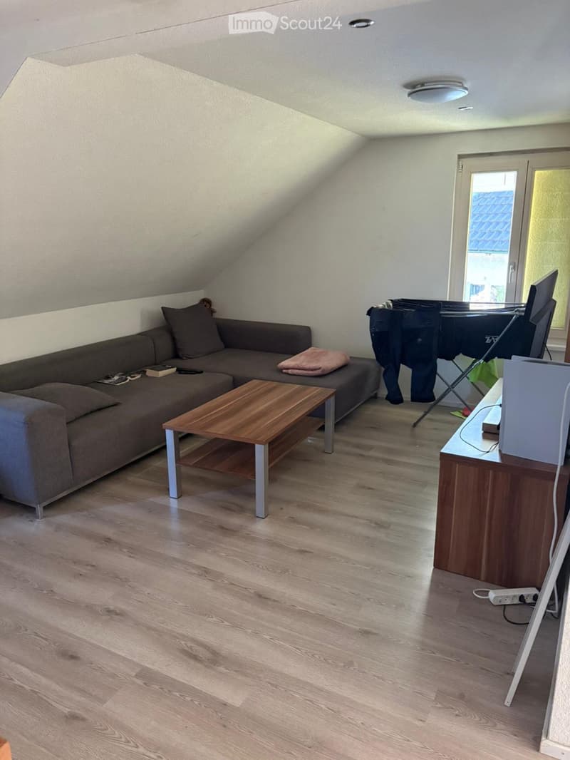 Charming 3.5 room attic apartment in Rickenbach LU (1)