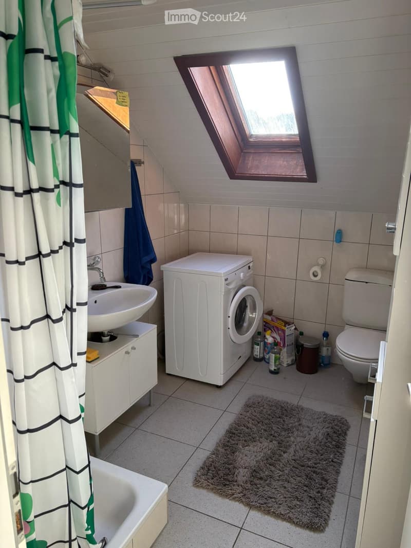Charming 3.5 room attic apartment in Rickenbach LU (4)