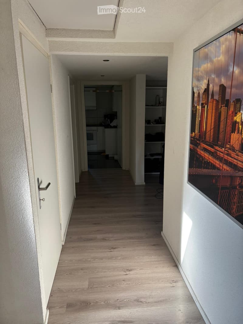 Charming 3.5 room attic apartment in Rickenbach LU (3)