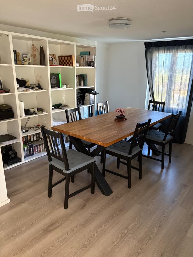 Charming 3.5 room attic apartment in Rickenbach LU (2)