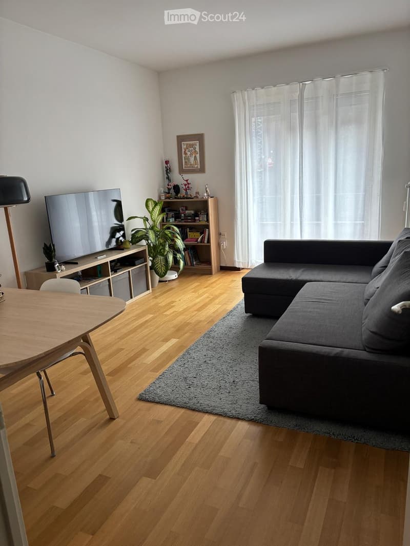 Untermiete 4.5 Chiasso (1)
