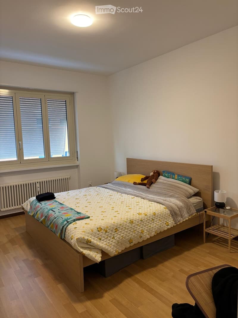 Untermiete 4.5 Chiasso (2)