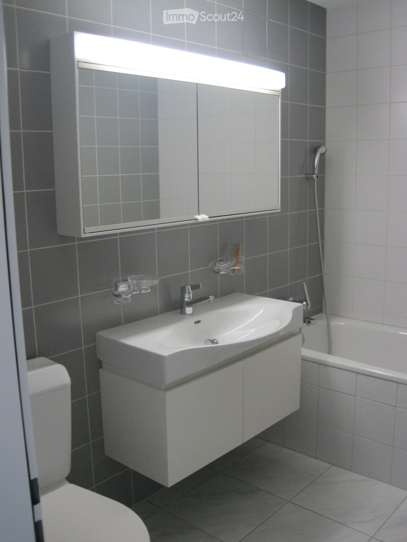 Appartement lumineux, rénové 5 1/2 pièces dans un environnement rural près des transports en commun (3)