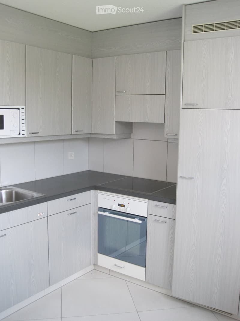 Appartement lumineux, rénové 5 1/2 pièces dans un environnement rural près des transports en commun (4)