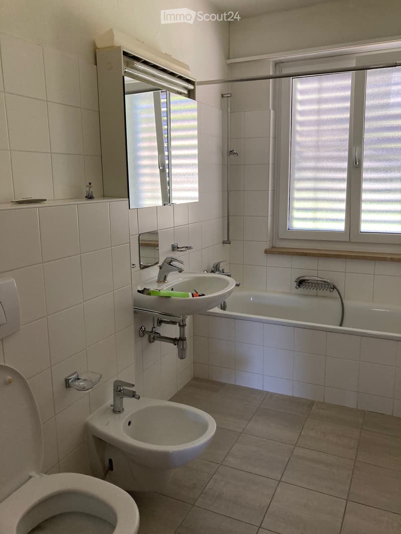 Renting a spacious 4.5-room apartment in Caslano (5)