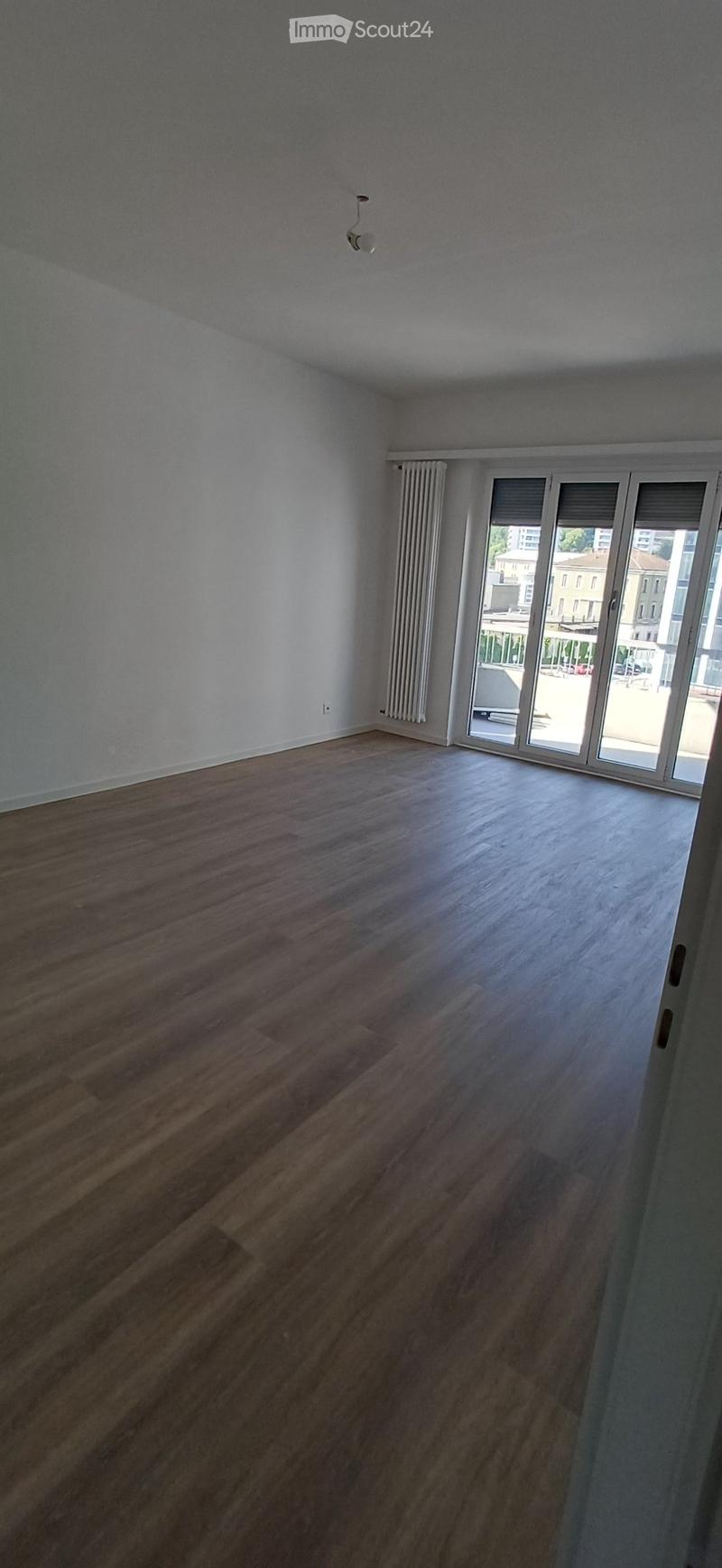 Bright 3.5-room apartment in complete renovation phase (3)