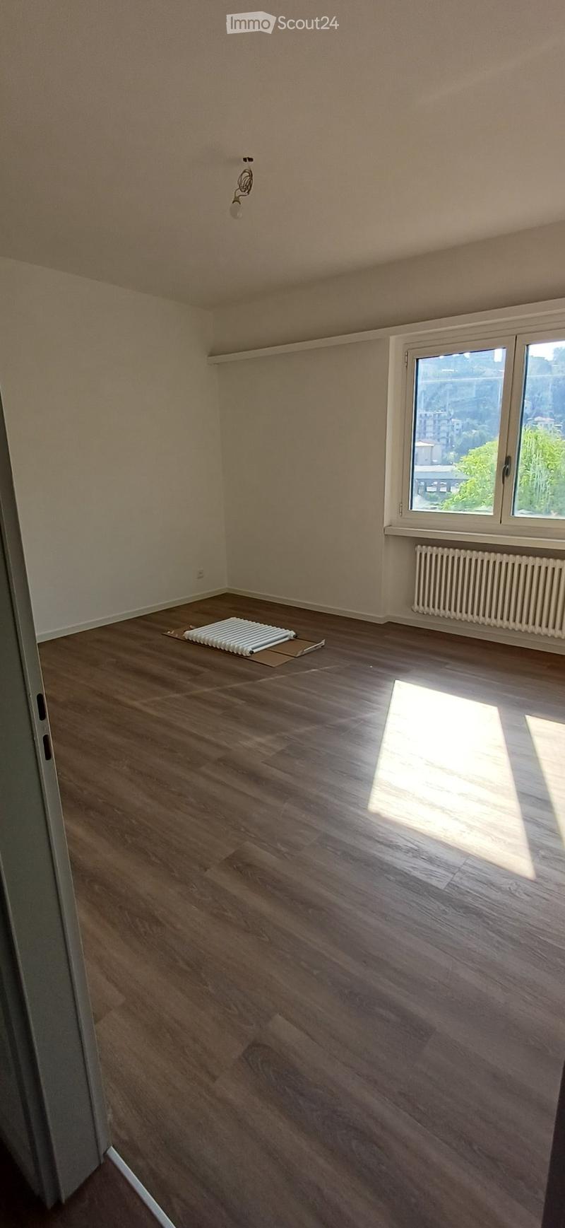Bright 3.5-room apartment in complete renovation phase (2)