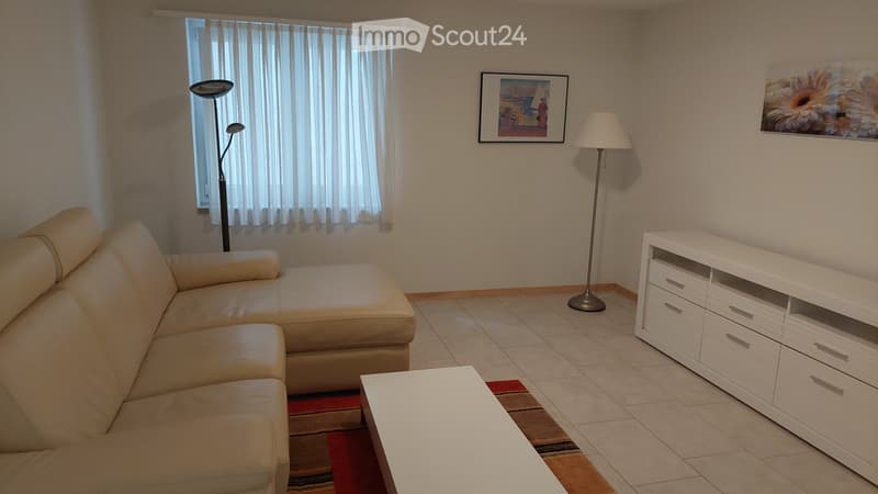 Appartement meublé à Hägendorf, 2,5 pièces dans une maison individuelle au rez-de-chaussée (1)