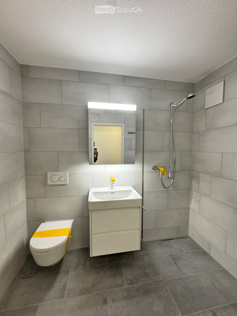 Nouvel appartement 3,5 pièces (2)