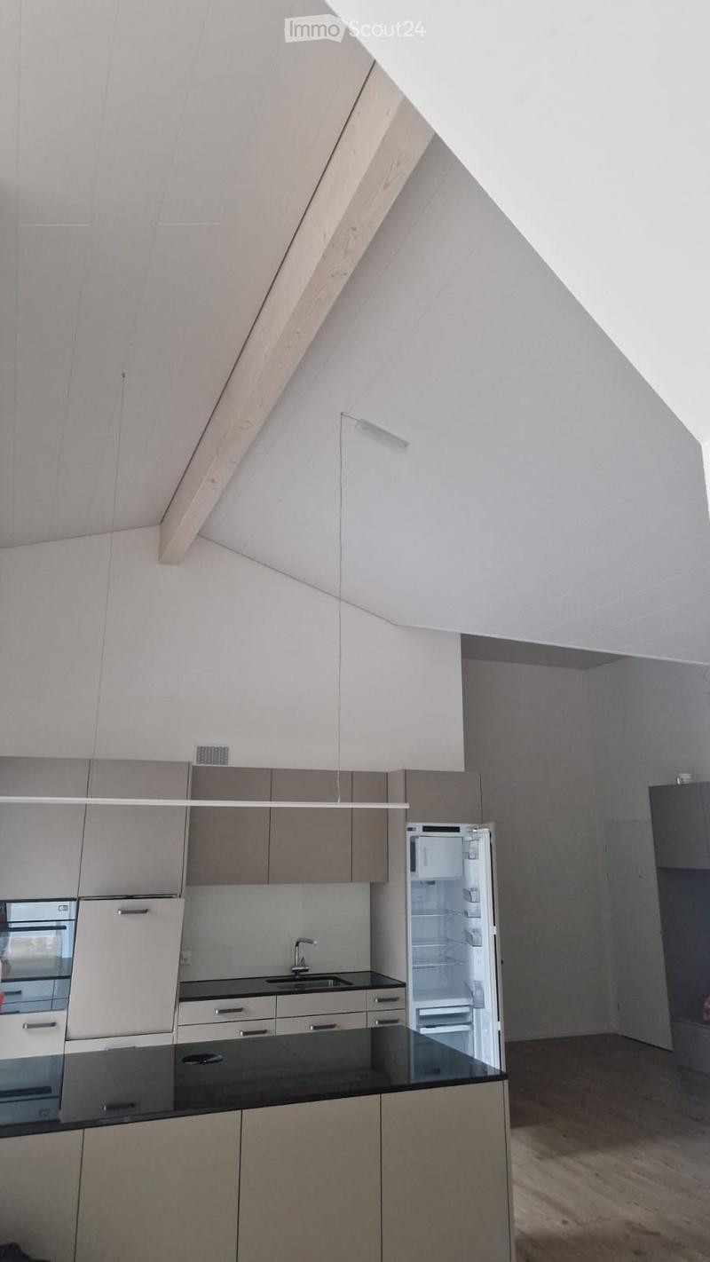 Appartement attique 4 pièces (3)