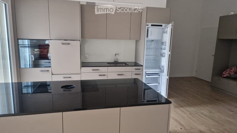 Appartement attique 4 pièces (4)