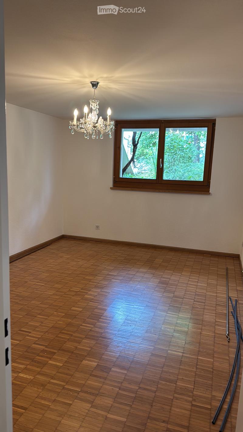 IN AFFITTO Appartamento in casa unifamiliare 2 locali con angolo cucina (2)