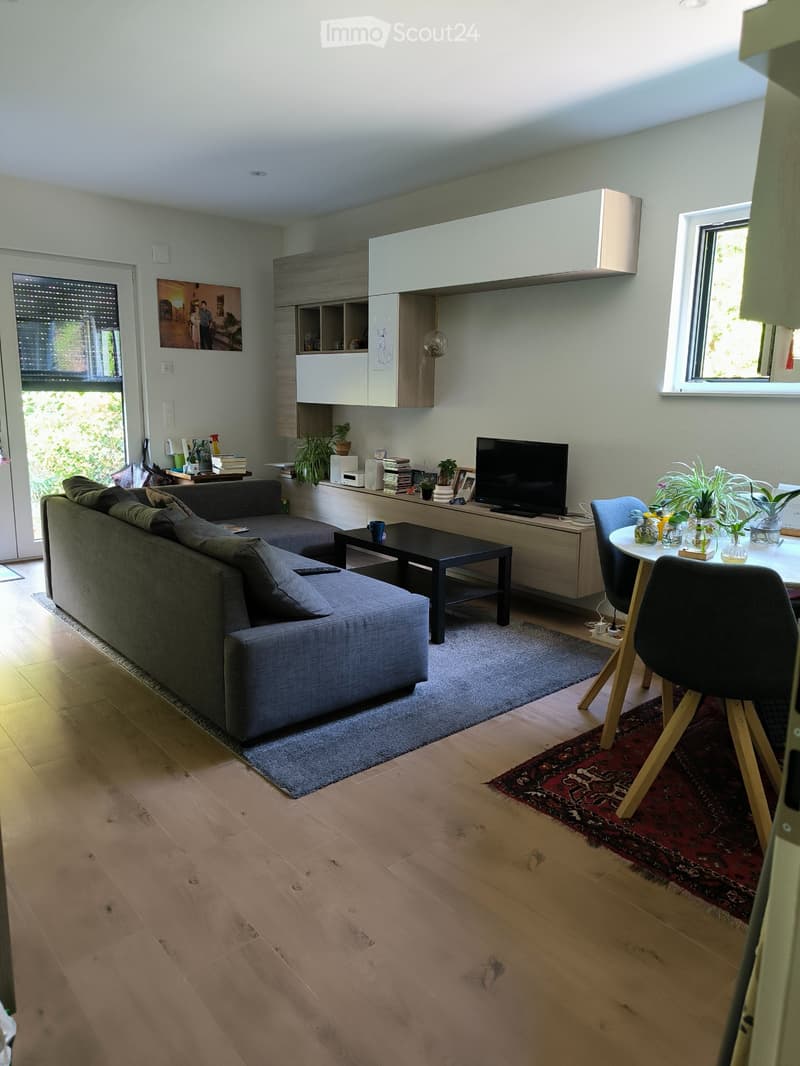 Modern house from 2018 with additional apartment in Osogna (3)