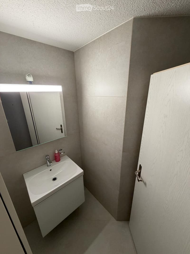 Apartment 4.5 rooms all new renovated (5)