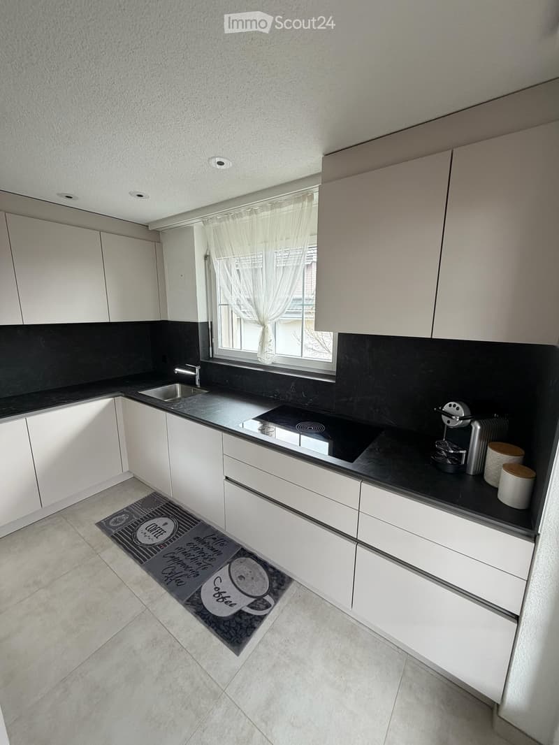 Apartment 4.5 rooms all new renovated (7)