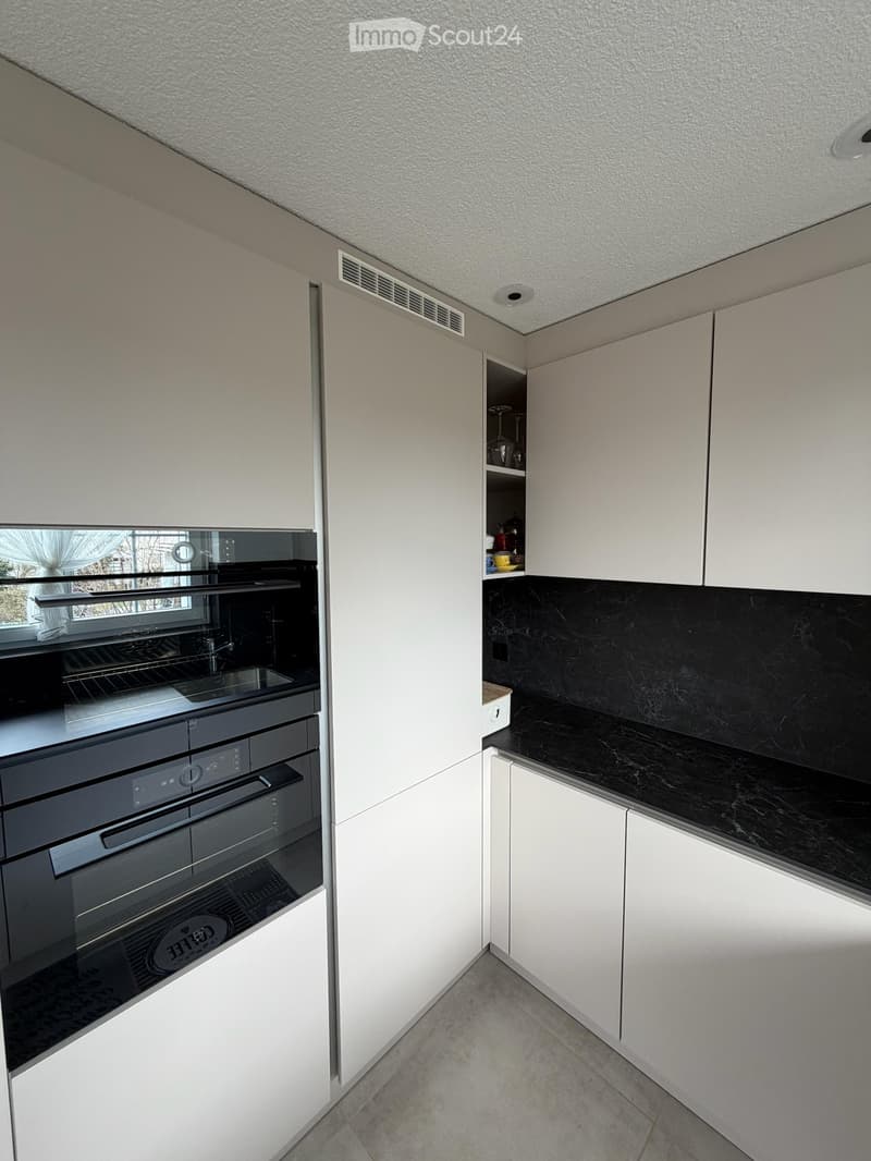 Apartment 4.5 rooms all new renovated (6)