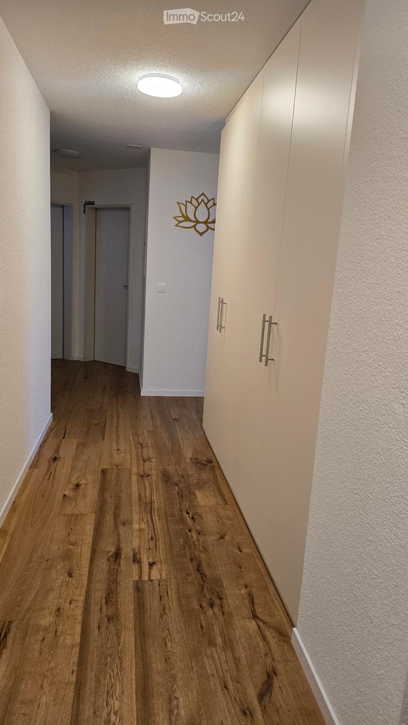 Apartment 4.5 rooms all new renovated (2)