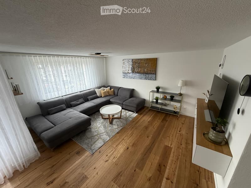 Apartment 4.5 rooms all new renovated (10)
