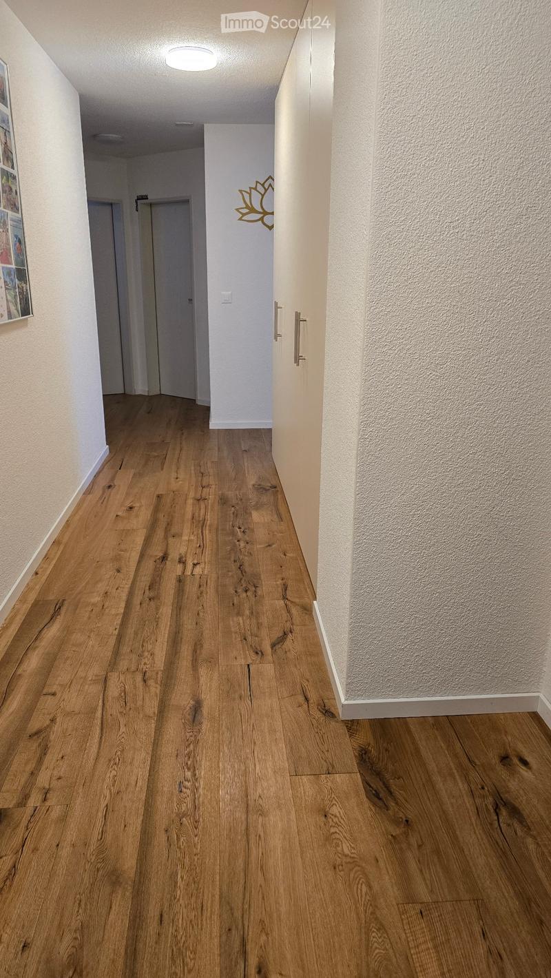 Apartment 4.5 rooms all new renovated (3)