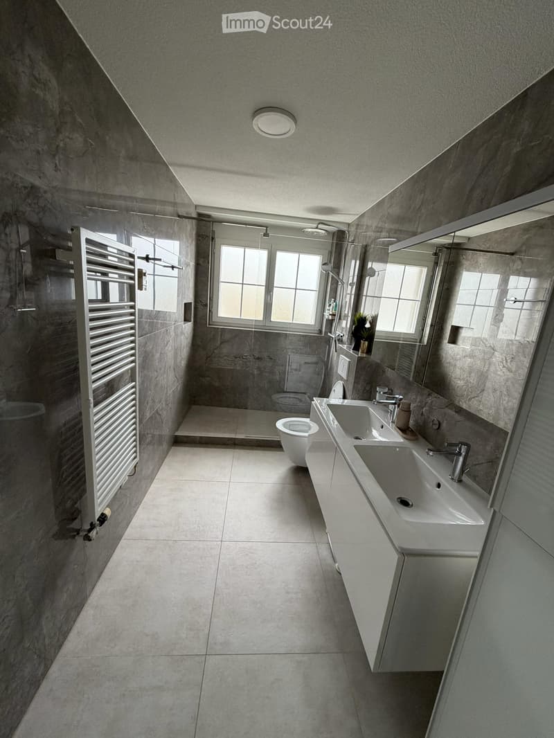 Apartment 4.5 rooms all new renovated (12)