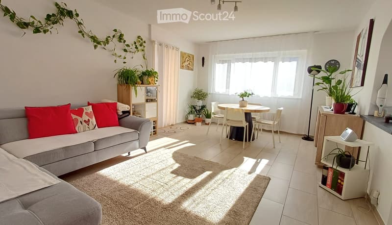 Ampio 3.5 ristrutturato vicino a Locarno con grande terrazza (1)