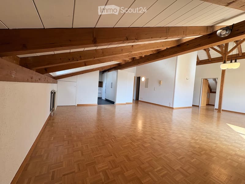 Bright apartment (3)