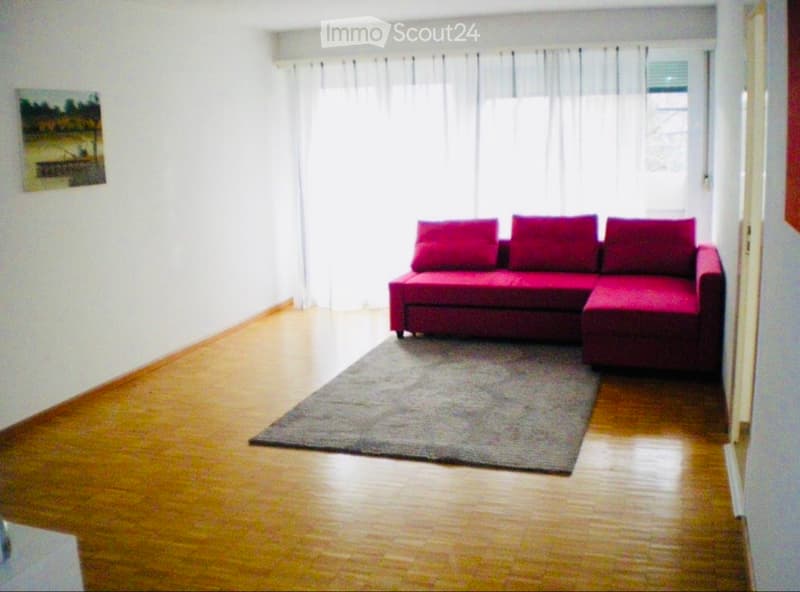 Appartamento 2.5 locali con cucina nuova & balcone (5)