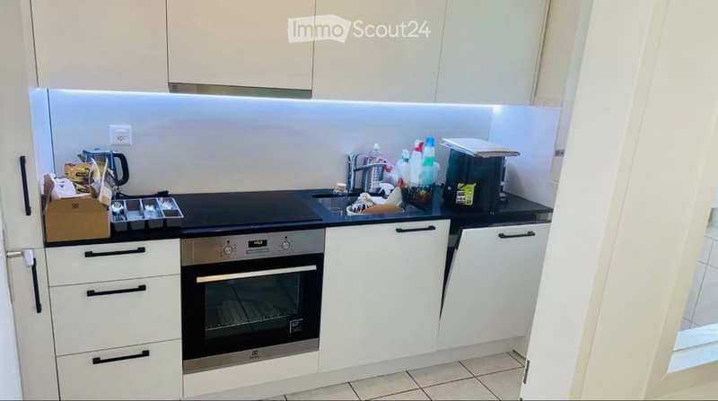 Appartamento 2.5 locali con cucina nuova & balcone (2)
