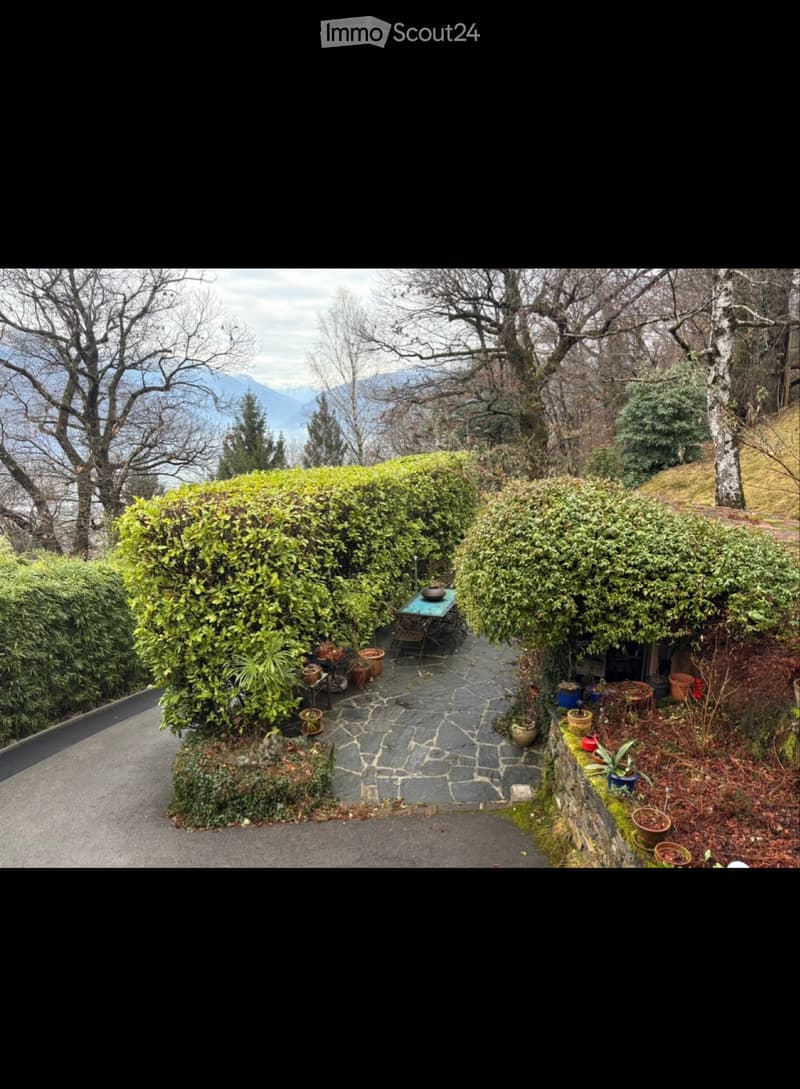 Rent 5.5 with work opportunity (4)