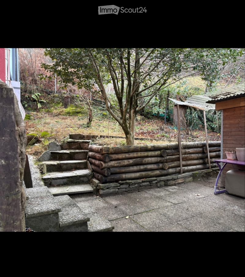 Rent 5.5 with work opportunity (5)