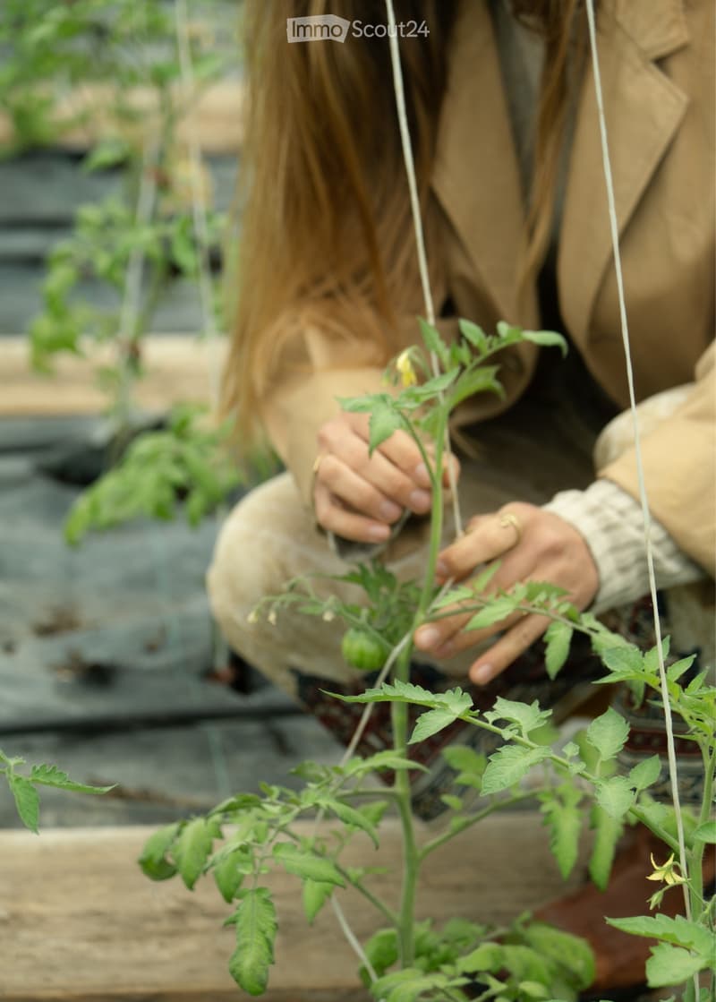 Colocataires recherchés pour ferme biologique près de Zurich (2)