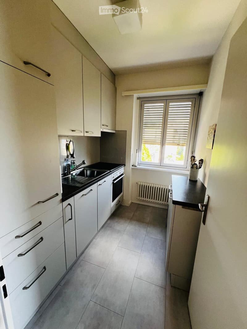 Holiday apartment with lake view, available for rent all year round (5)
