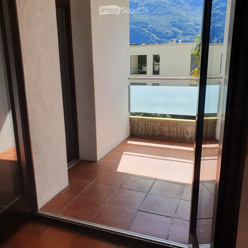 BELLINZONA-CARASSO, 4.5 ROOMS APARTMENT FOR RENT, RENOVATED (5)