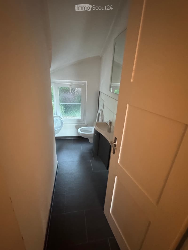 Tenant Wanted: Bright and Spacious 4-Room Apartment (3)
