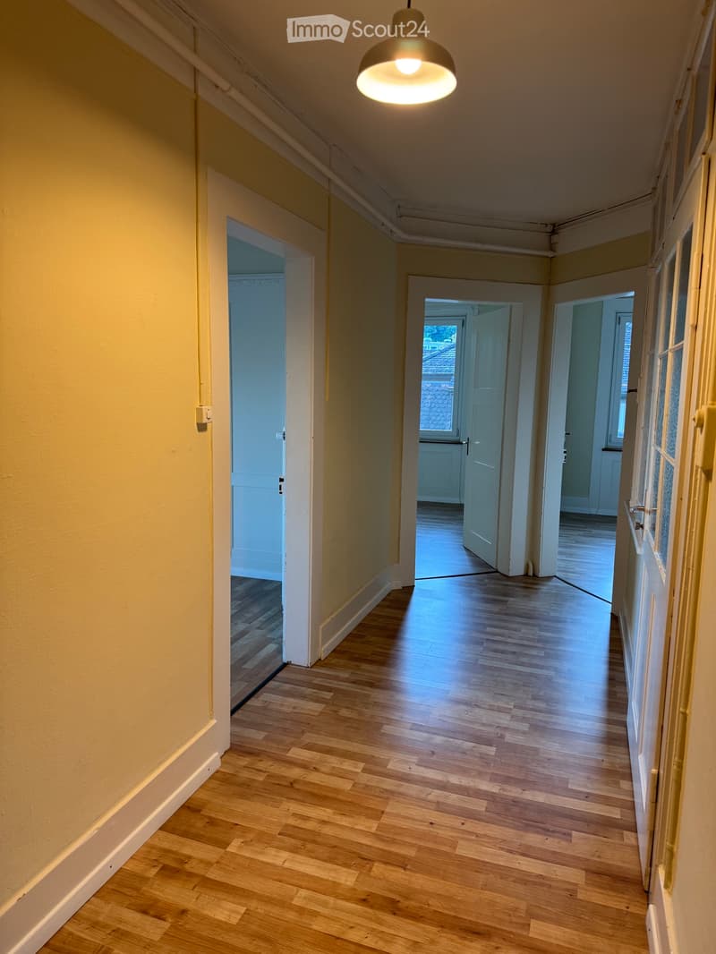 Tenant Wanted: Bright and Spacious 4-Room Apartment (1)