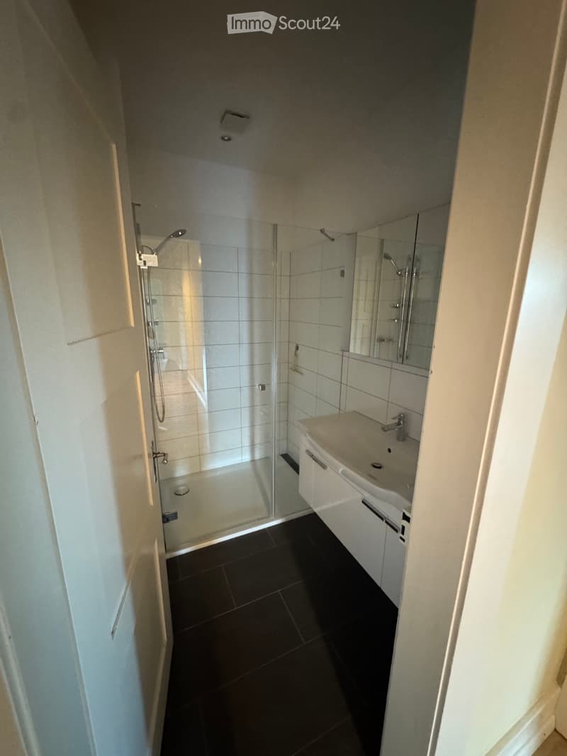 Tenant Wanted: Bright and Spacious 4-Room Apartment (4)