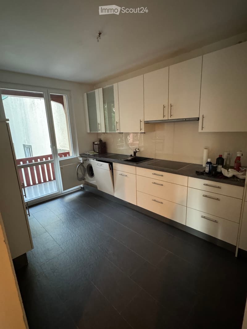 Tenant Wanted: Bright and Spacious 4-Room Apartment (5)