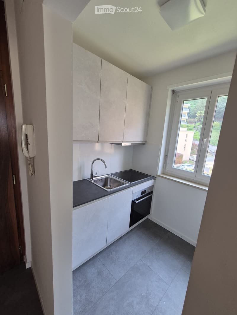 Affittasi appartamento 1.5 locali a Melide-Ammobiliato (3)