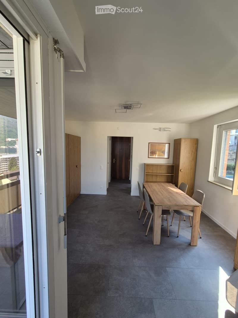 Affittasi appartamento 1.5 locali a Melide-Ammobiliato (1)