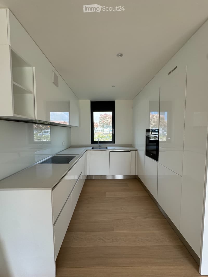 Entrée immédiate, 2 premiers mois gratuits - Duplex 3.5 Caslano (4)