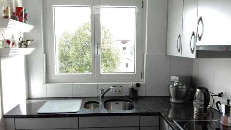 4,5 locali: due balconi soleggiati & bagno Ensuite vicino a Rotsee (3)