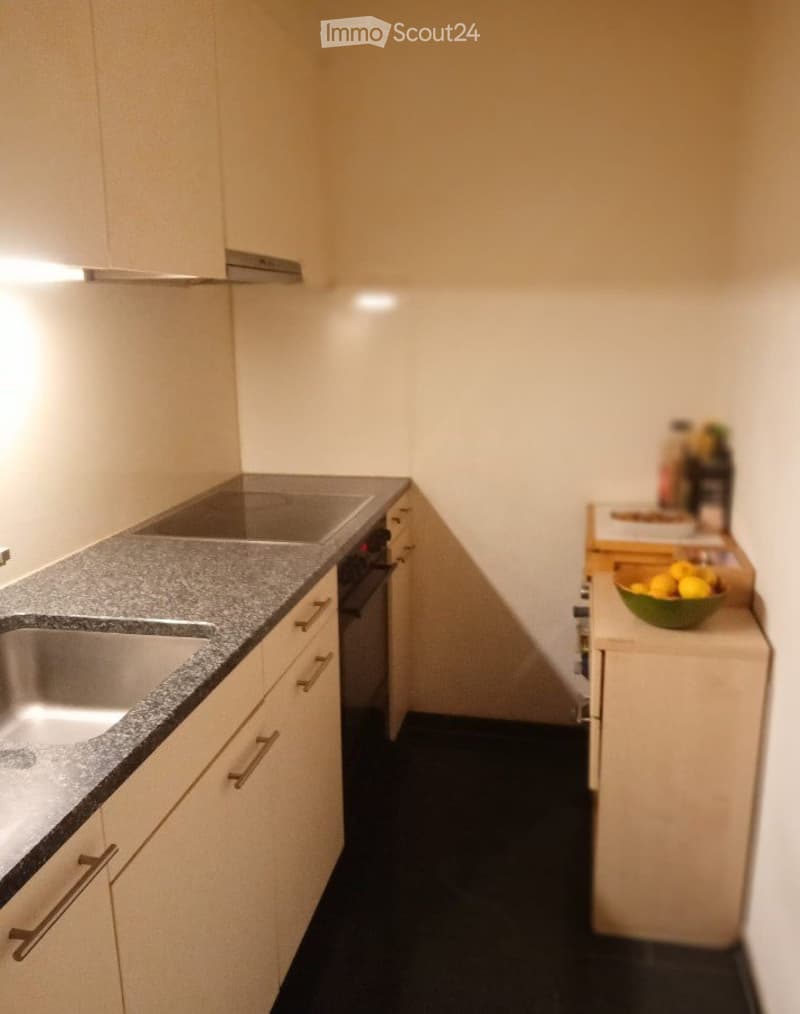 1 room apartment for rent (1)