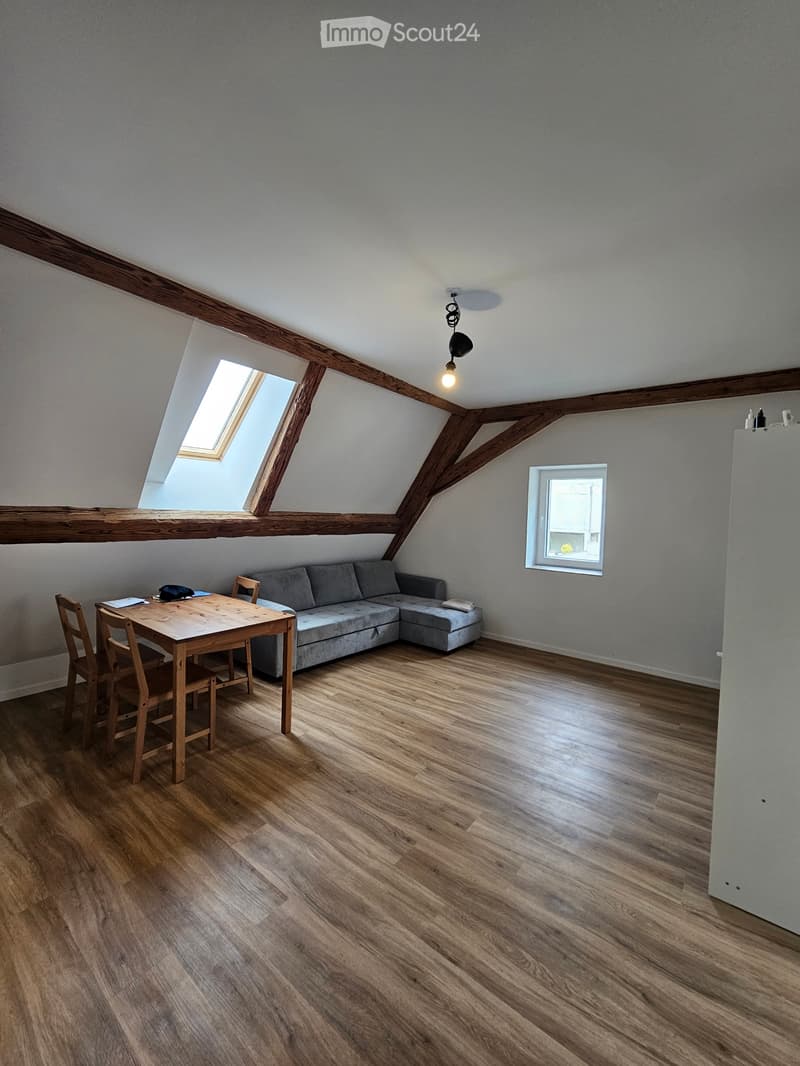 Appartamento a duplex di 3,5 locali (4)
