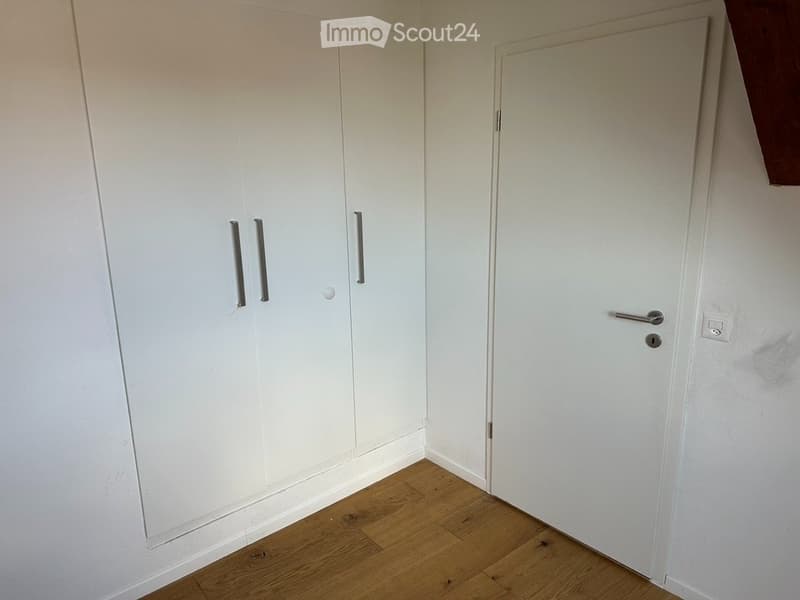 Wunderschöne 5.5 Zimmerwohnung in Hallau (3)