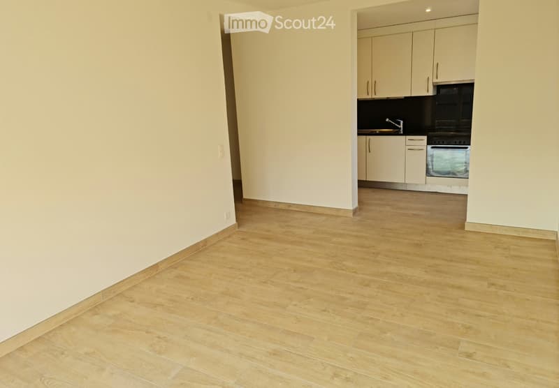 Appartement 3.5 pièces à Manno (4)