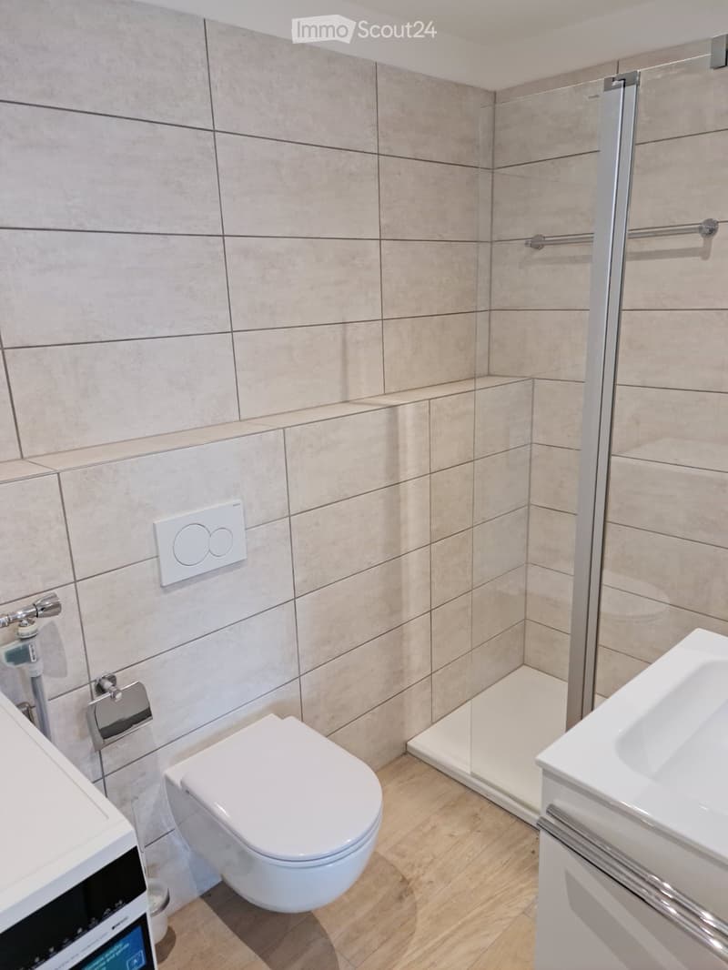 Appartement 3.5 pièces à Manno (5)