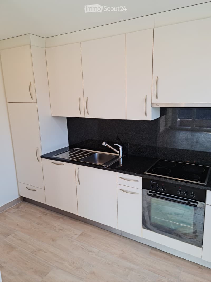 Appartement 3.5 pièces à Manno (3)