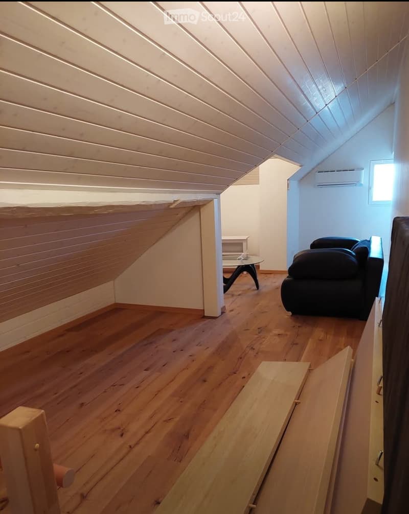 Charmant appartement dans un immeuble ancien, 2 étages (4)