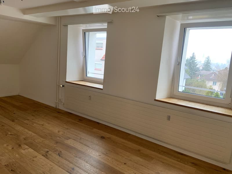 1 bedroom apartment in Reinach (3)