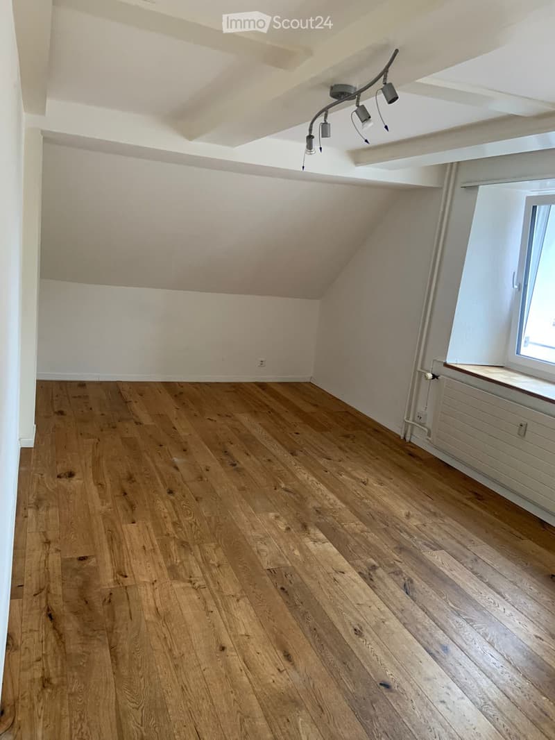 1 bedroom apartment in Reinach (5)